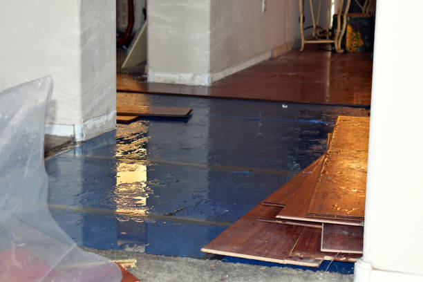 Professional Burst Pipe Cleanup technician working in Evansville, IN